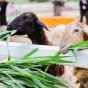 探索体育的魅力 - 黑白体育